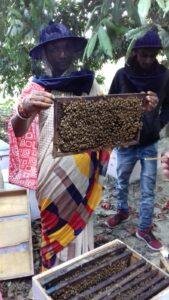 Bihar Jeevika Honey Business: मधुमक्खी पालन से जीविका दीदियों ने खड़ा किया 5.4 करोड़ का कारोबार, 11,855 महिलाओं को मिला रोजगार | 22Scope News Bihar Jeevika Honey Business 1