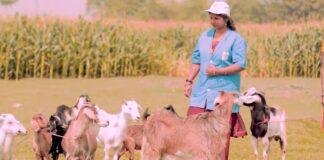 Bihar Jivika Pashu Sakhi: घर की जिम्मेदारियों से गांव की सेवा तक, खुशबू कुमारी जैसी पशु सखियां बनीं आत्मनिर्भरता की मिसाल
